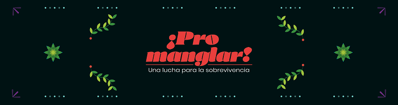 Juego ¡Pro Manglar!