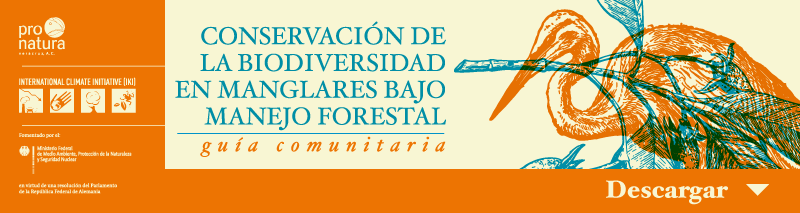 Guía comunitaria